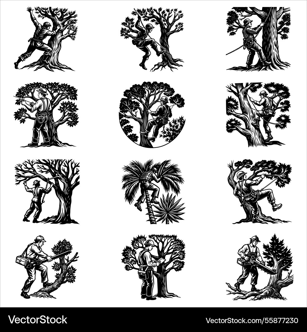 Tree arborist bundle Vector Image