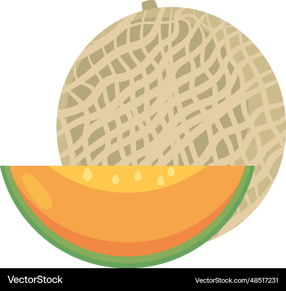 Melon fruit icon (48517231) – Royalty-Free Vector | VectorStock