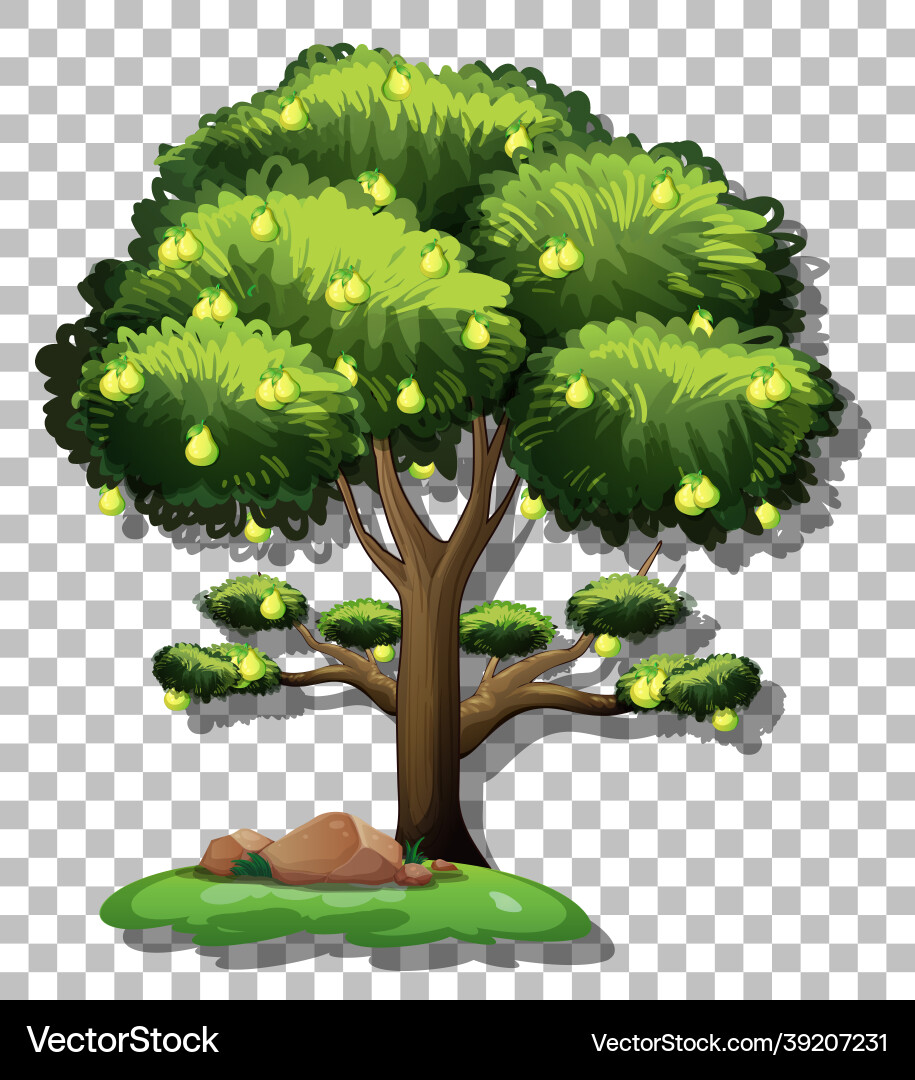 Pear tree on transparent background Pear tree on transparent background vector image