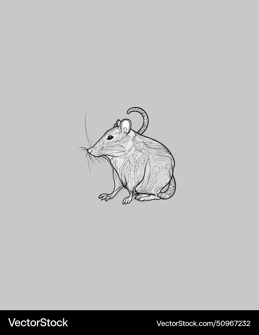 A drawing of rat with pattern on the side A drawing of rat with pattern on the side Vector Image