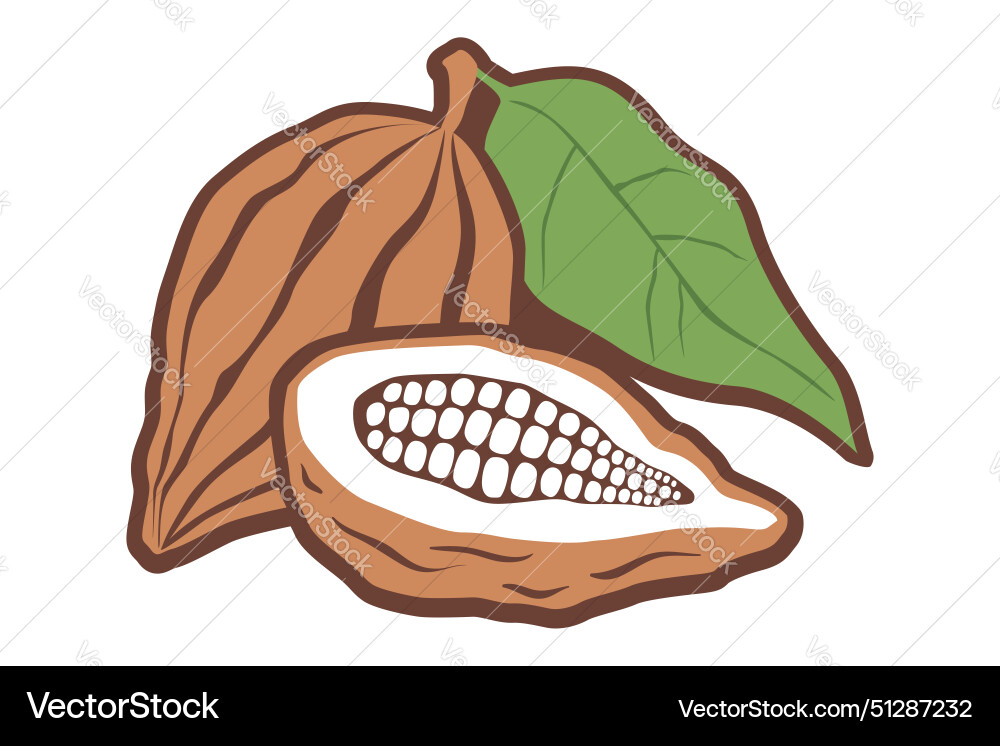 Vintage logo with cocoa on isolated background Vector Image