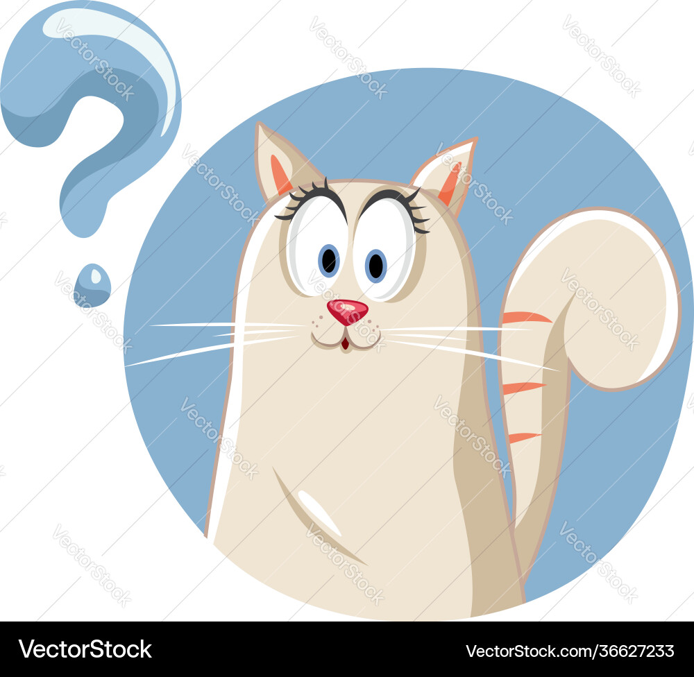 Funny cat having questions Funny cat having questions vector image