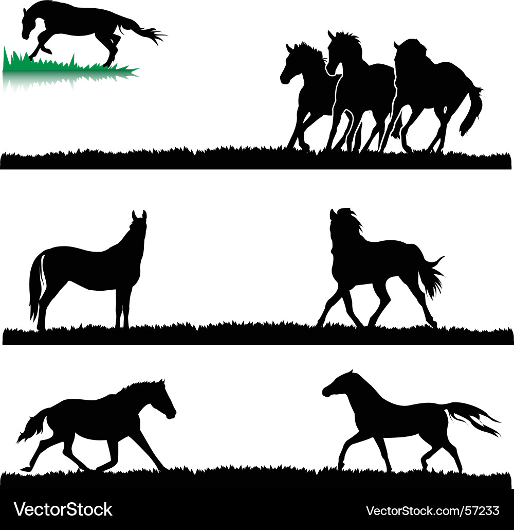 Horse Silhouettes - Black and White vector image