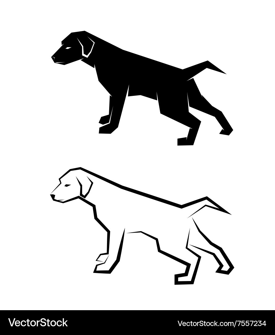 Labrador Retriever Portrait Vektorbild