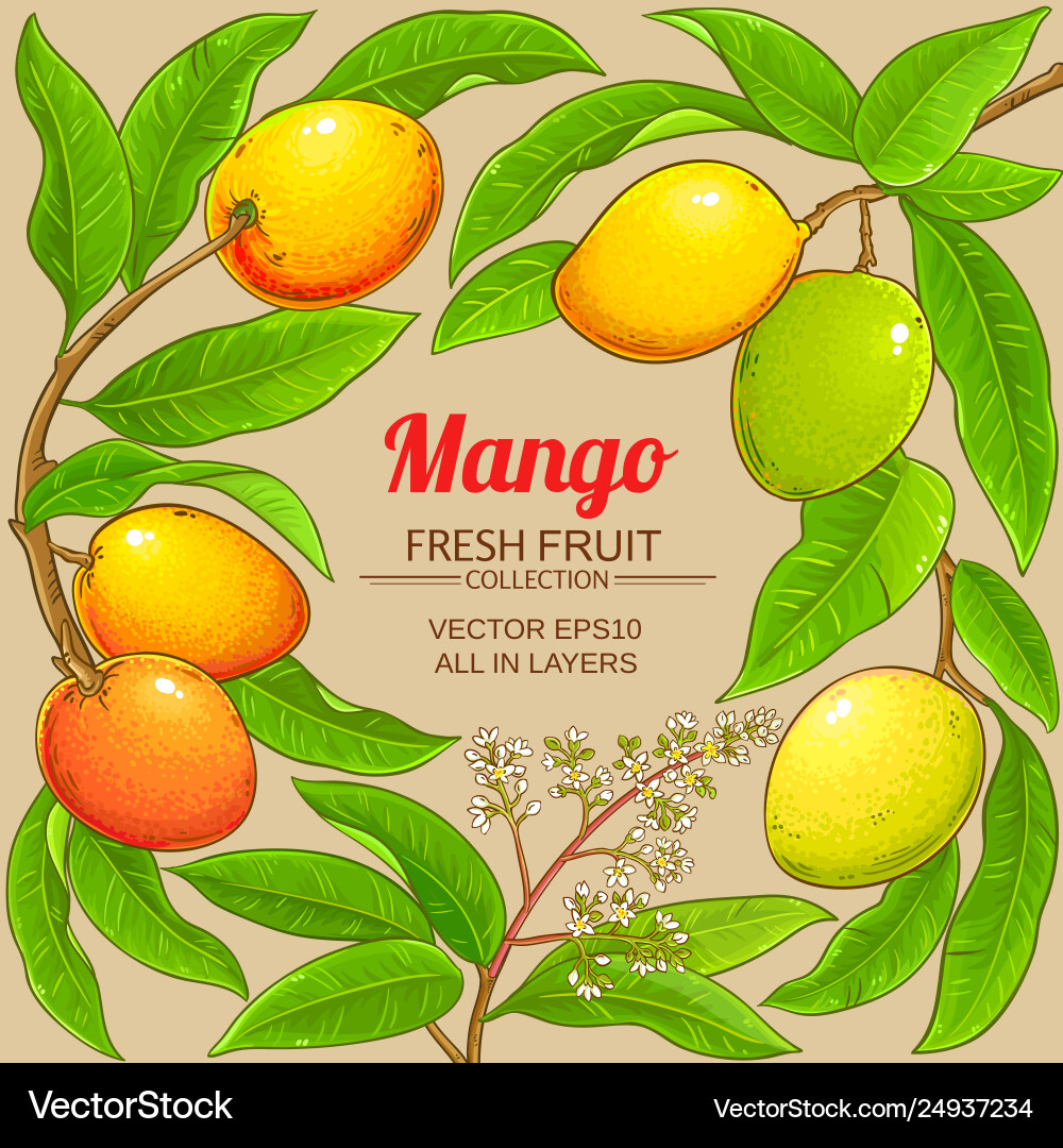 Mango branches frame on color background Mango branches frame on color background vector image