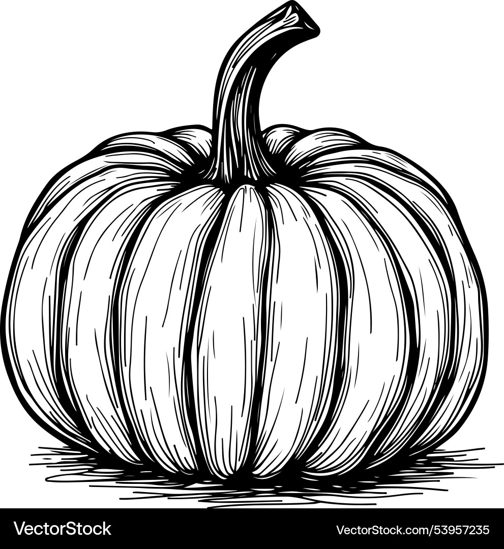 Pumpkin coloring pages for kids Royalty Free Vector Image