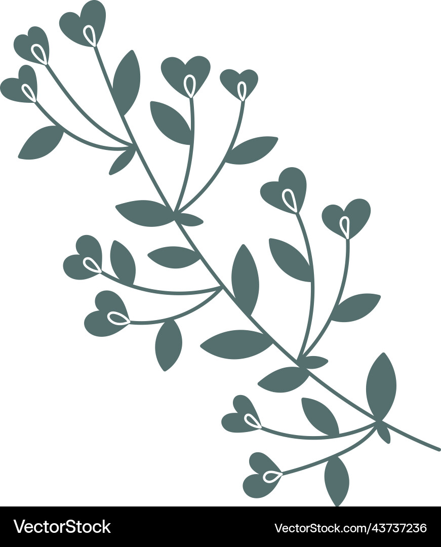 Decorative natural plant branch botanical print Decorative natural plant branch botanical print vector image