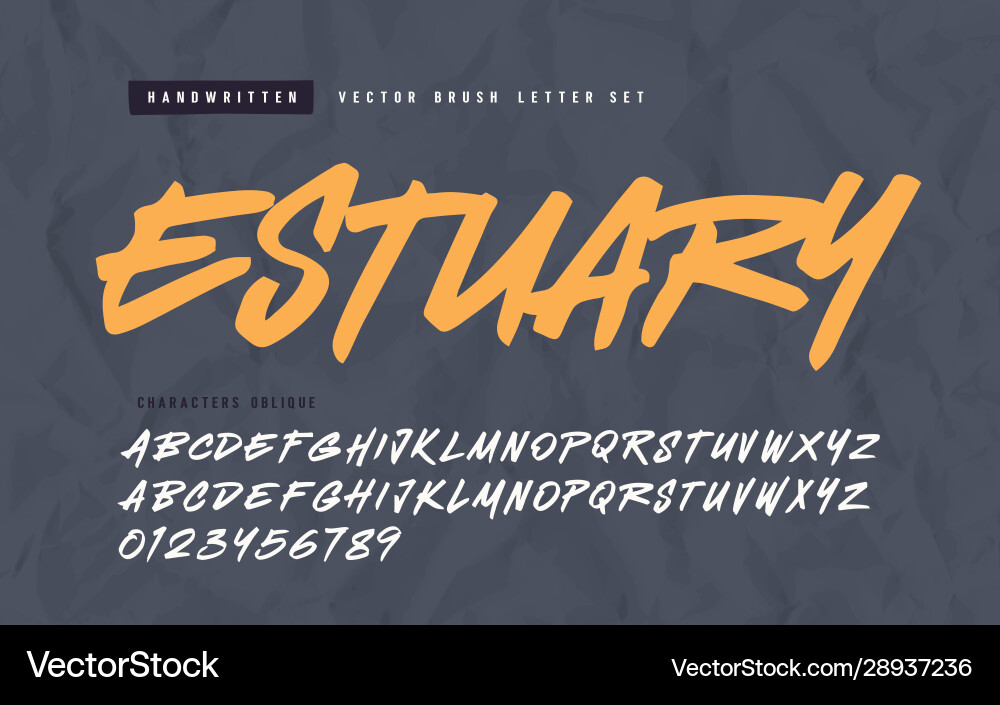 Expressive Calligraphic Brush Script vector image