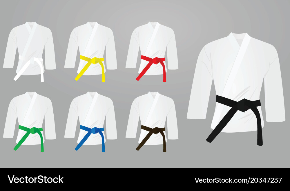 Кимоно черный пояс айкидо. Дзюдо кимоно с черным поясом. Кимоно ninjutsu. Поясу кимоно 5 букв. Поясу кимоно 5 букв.