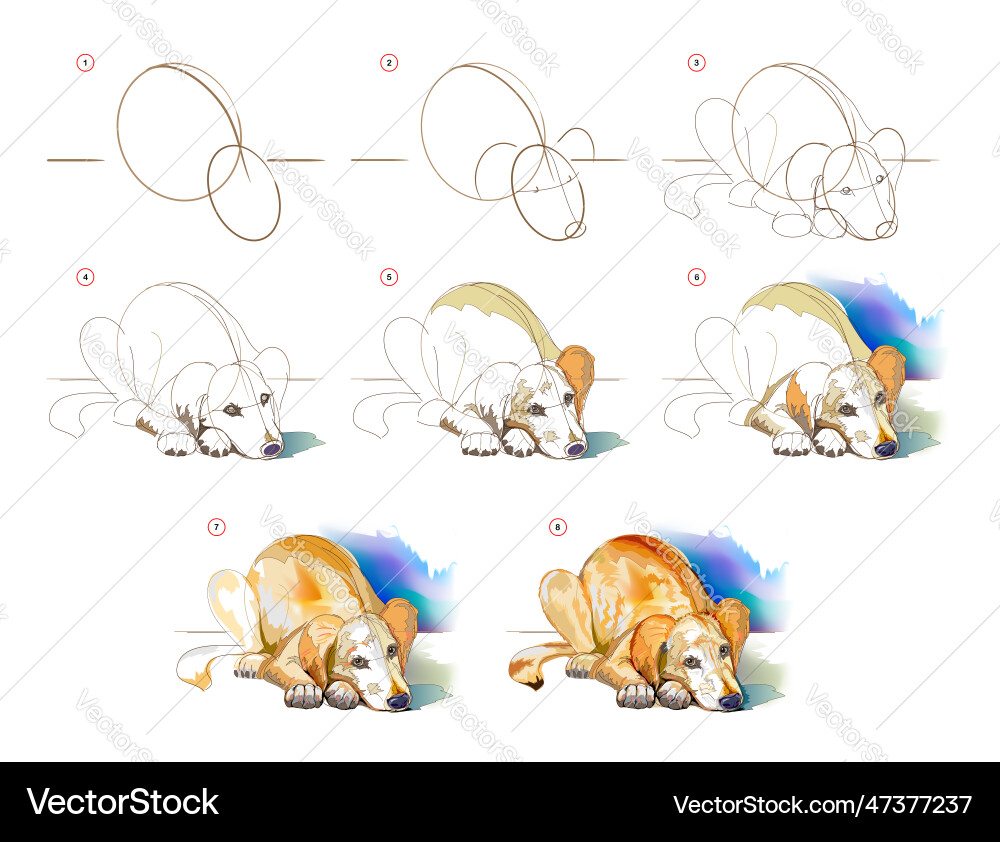 How to learn draw sketch of lying dog creation How to learn draw sketch of lying dog creation vector image