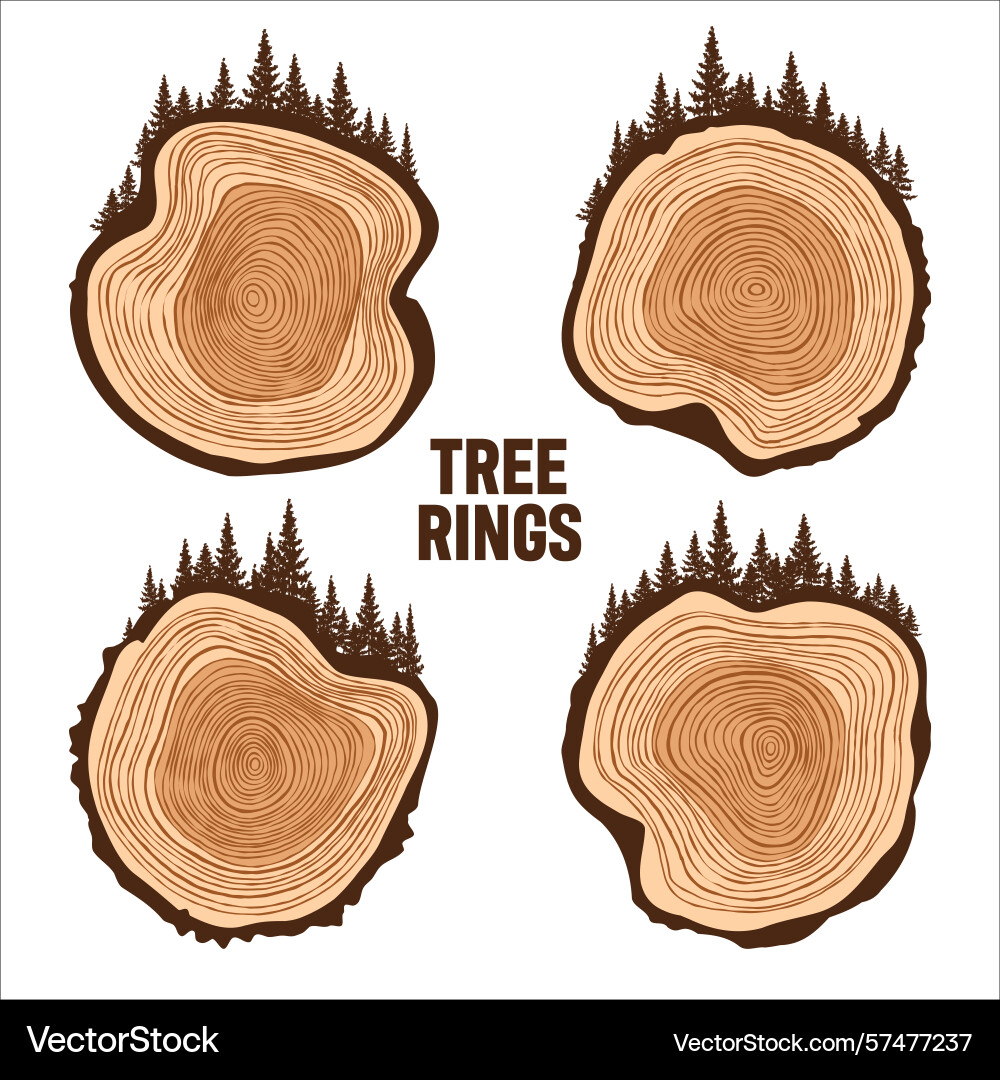 Round tree trunk cuts with trees and forest sawn Round tree trunk cuts with trees and forest sawn vector image