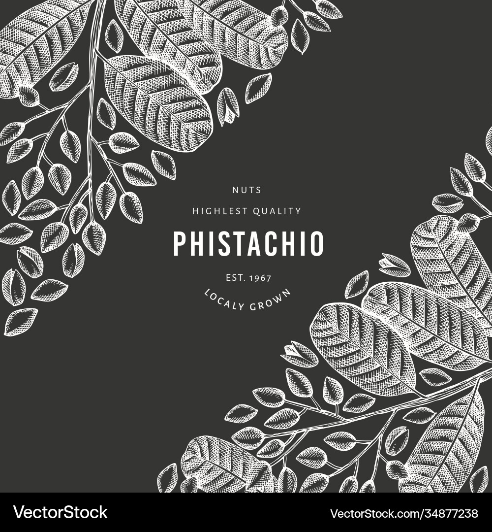 Hand gezogen phistachio branch und kernels design Hand gezogen phistachio branch und kernels design vektorbild