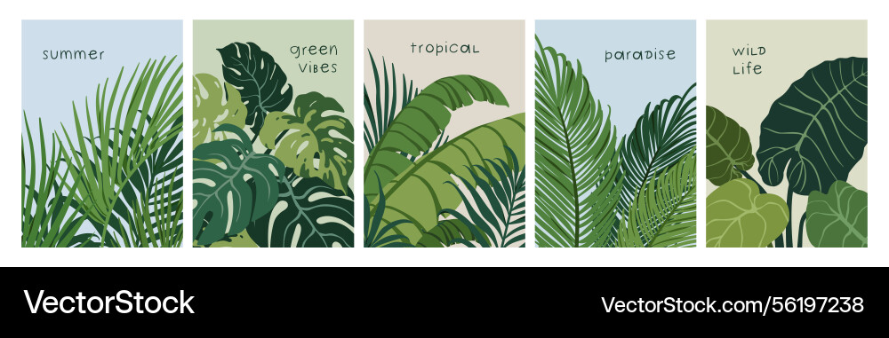 Tropisches Blatt Poster exotische Blätter Naturkarte Tropisches Blatt Poster exotische Blätter Naturkarte vektorbild