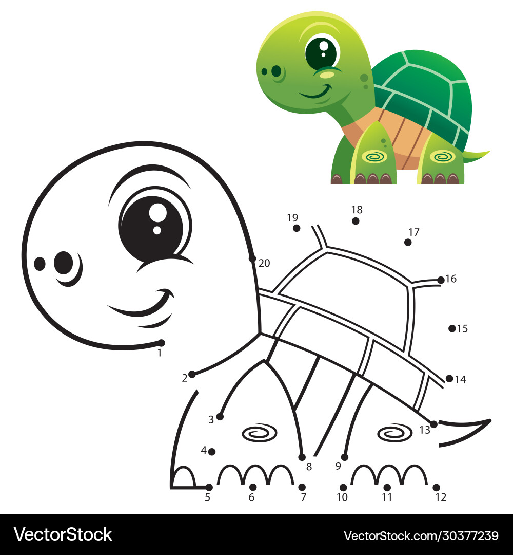 Connect the Dots Turtle vector image