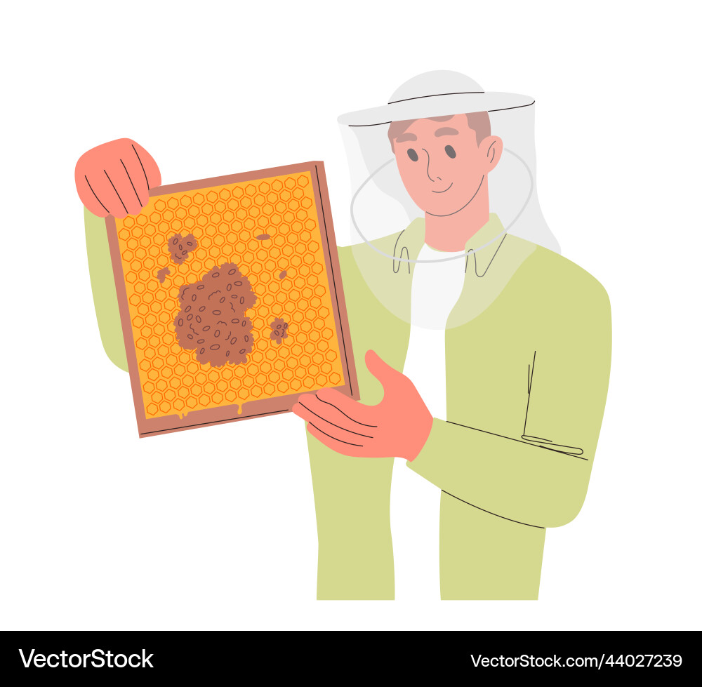 Male beekeeper hold wooden frame with honeycomb Male beekeeper hold wooden frame with honeycomb vector image