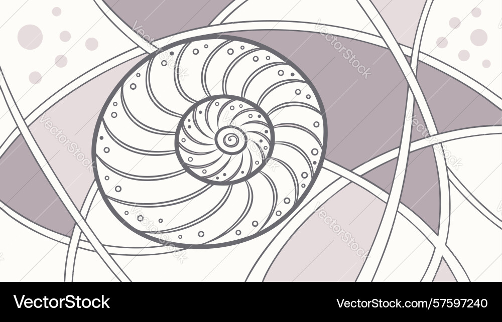 Abstract spiral shell pattern with elegant vector image