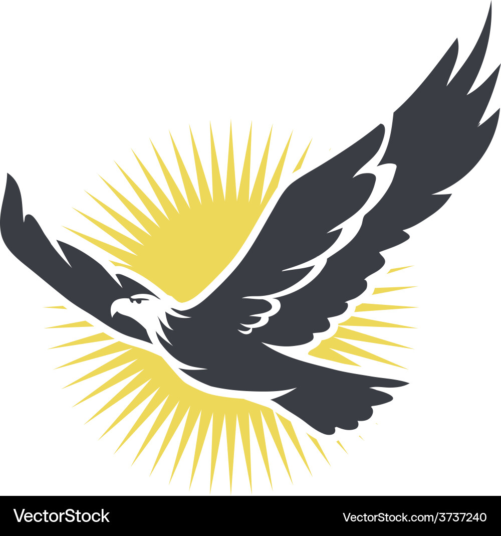 Eagle Soaring in Sunlight Royalty Free Vector Image