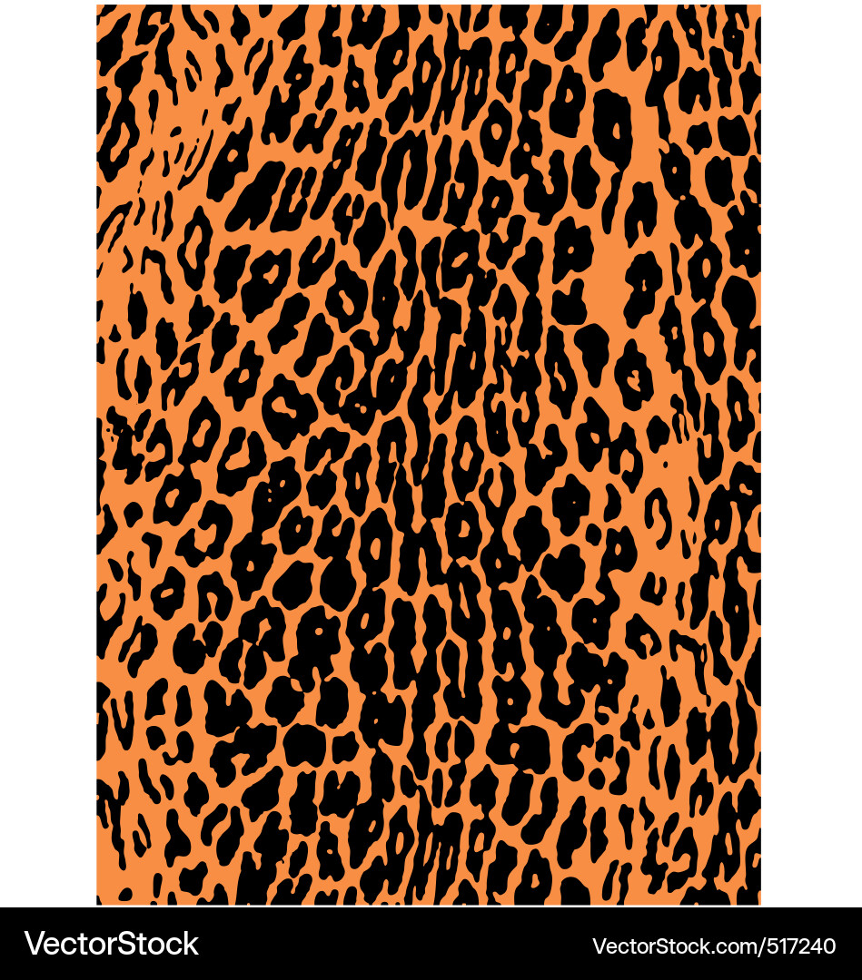 Leopard Print Background Vector Image