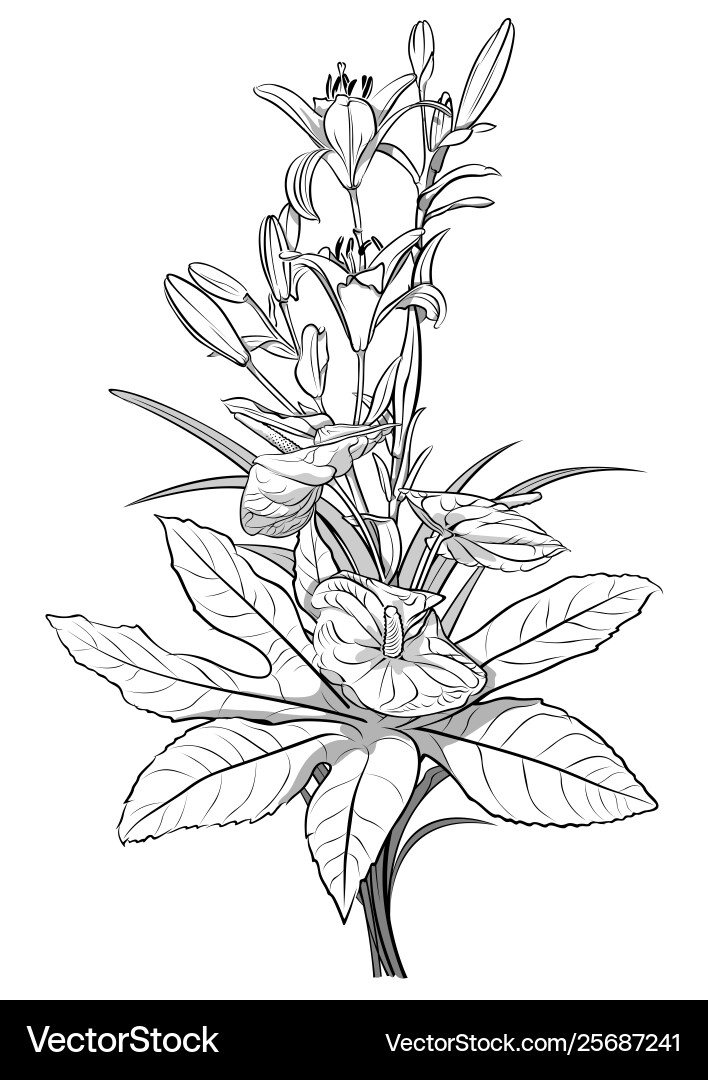Elegant Black and White Floral Sketch Vector Image