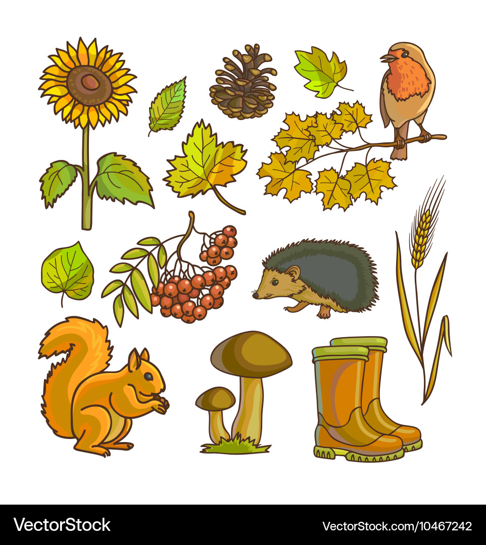 Autumn or fall icon and objects set for design vector image