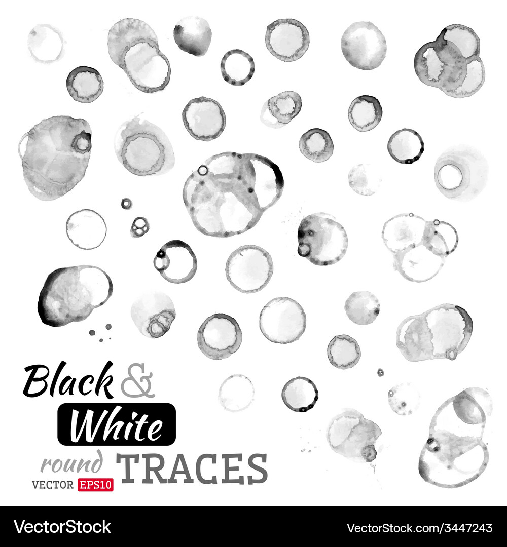 Set of round traces and splashes Vector Image