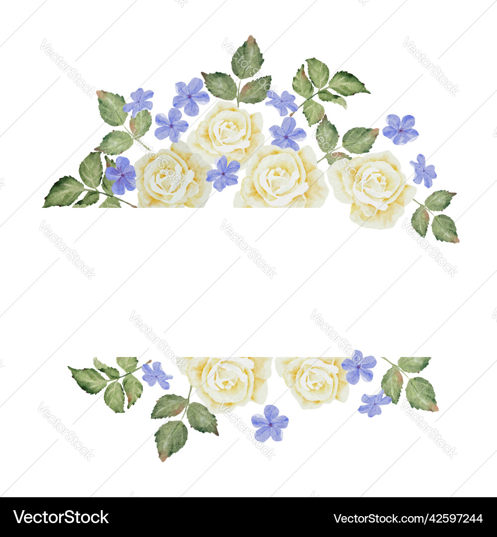 Watercolor white rose and plumbago flower bouquet vector image