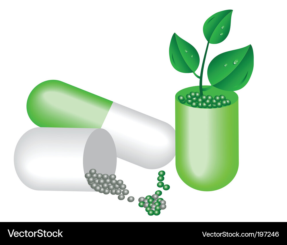 Medizin und Pflanzenelemente Vektorbild