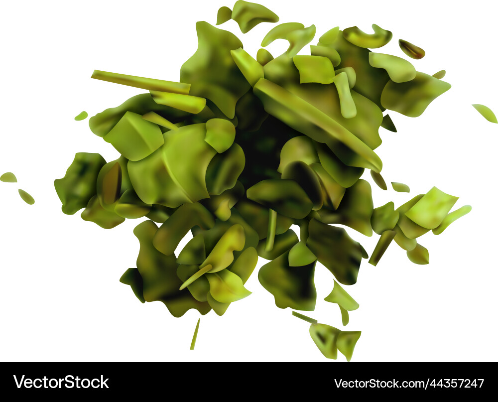 Green tea leaves vector image