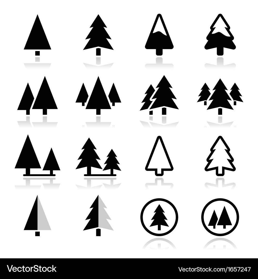 Pine Tree Icons - Forest & Park vector image