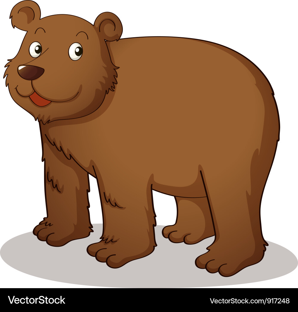 Bear