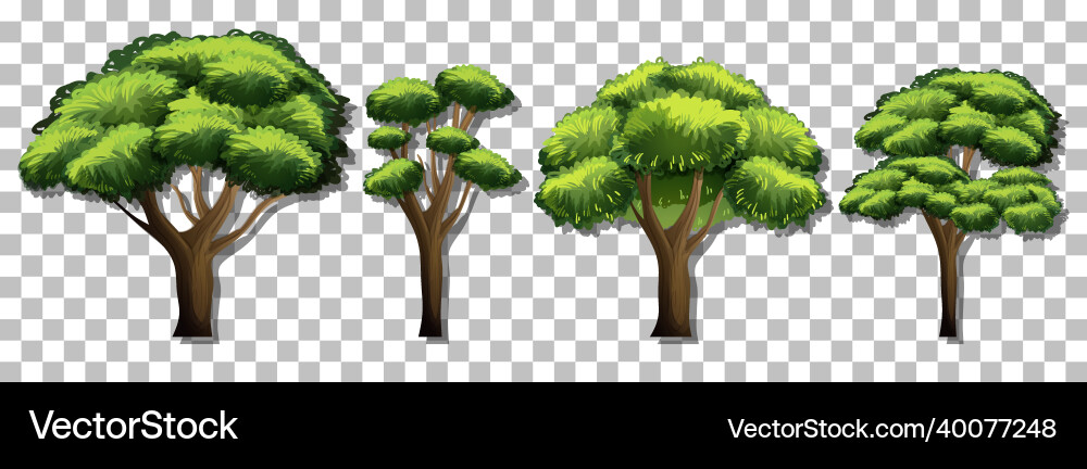 Set of various trees on transparent background Set of various trees on transparent background vector image