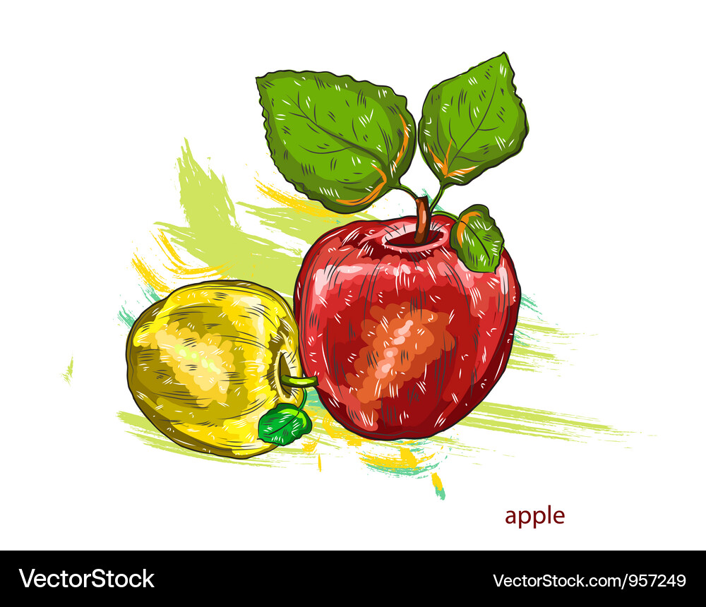 Apples with colorful splashes Vector Image