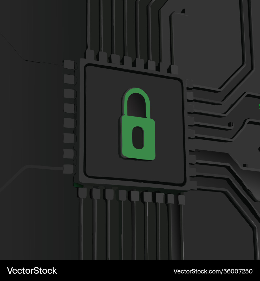 Digital security system advanced encryption Vector Image