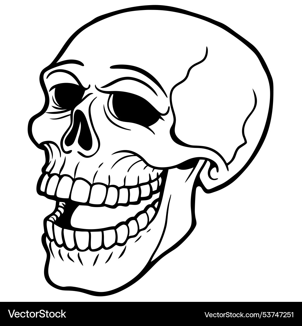 A human skull laughing with mouth wide open – Royalty-Free Vector |  VectorStock, image size:1000x1080