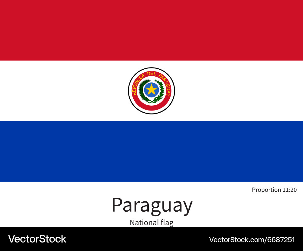 Paraguay National Flag Vector Image