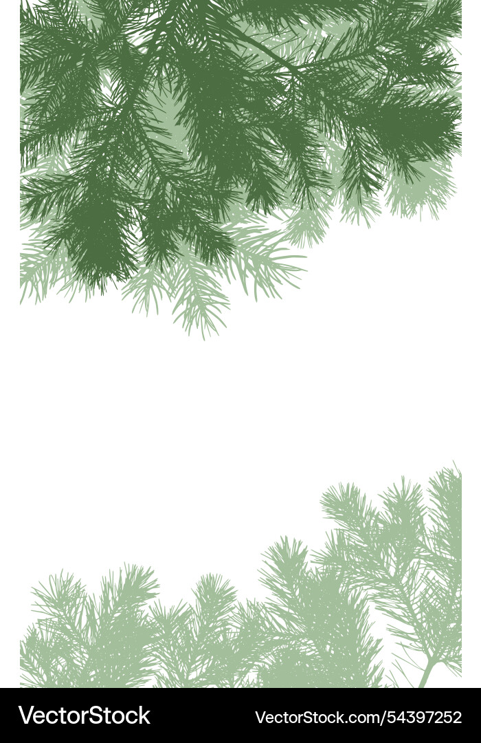 Frame of coniferous branches pine trees Frame of coniferous branches pine trees vector image
