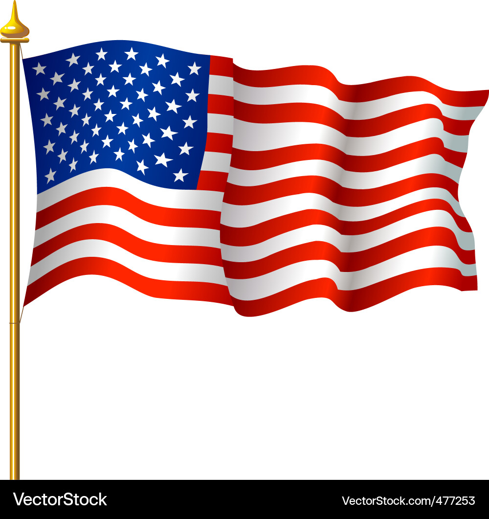 American Flag Waving vector image