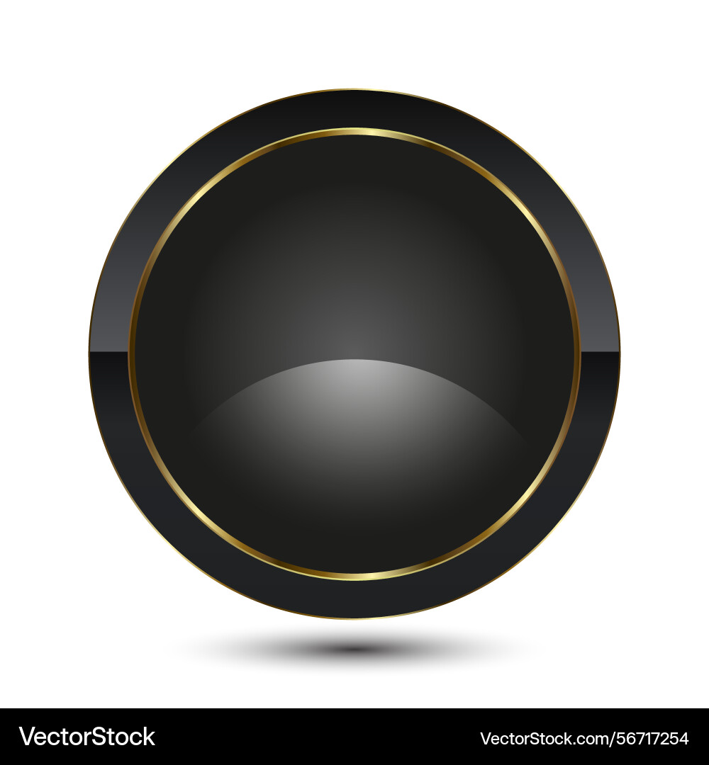 Circle button for ui buttons luxury Circle button for ui buttons luxury vector image