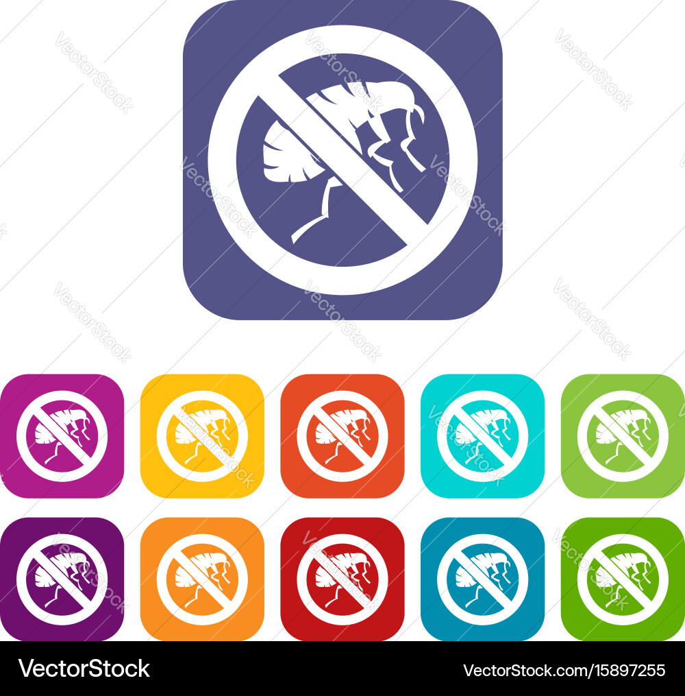 Etching insect icons set Vector Image