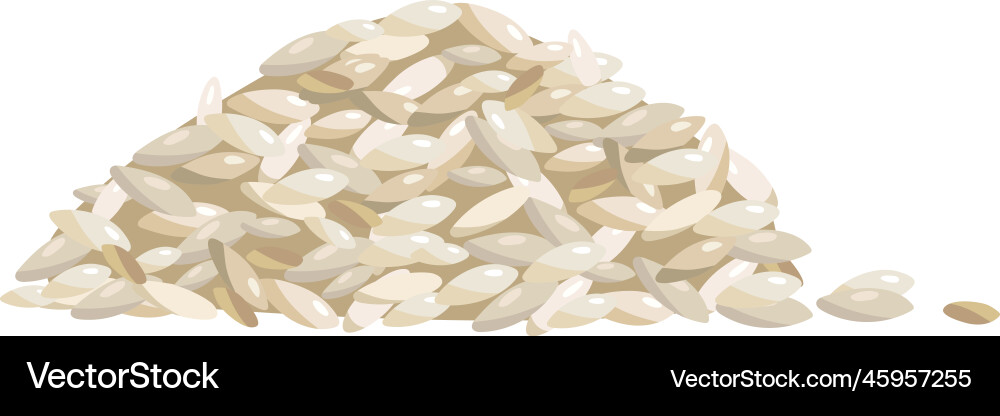 Rice pile realistic raw grain organic seeds Vector Image