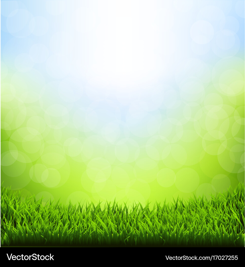 Spring bokeh with grass border vector image