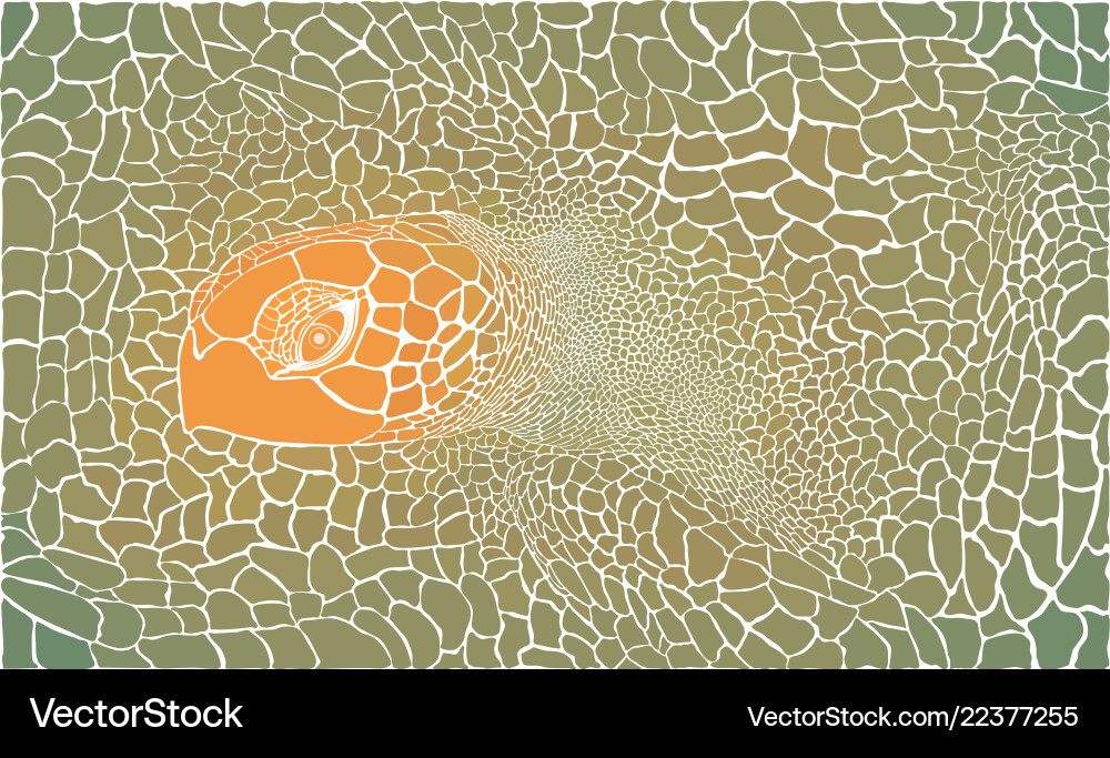 Turtle in the background vector image