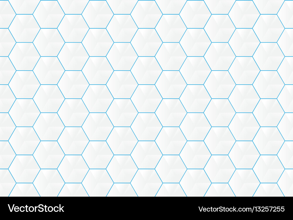 White Hexagon Pattern with Blue Lines vector image