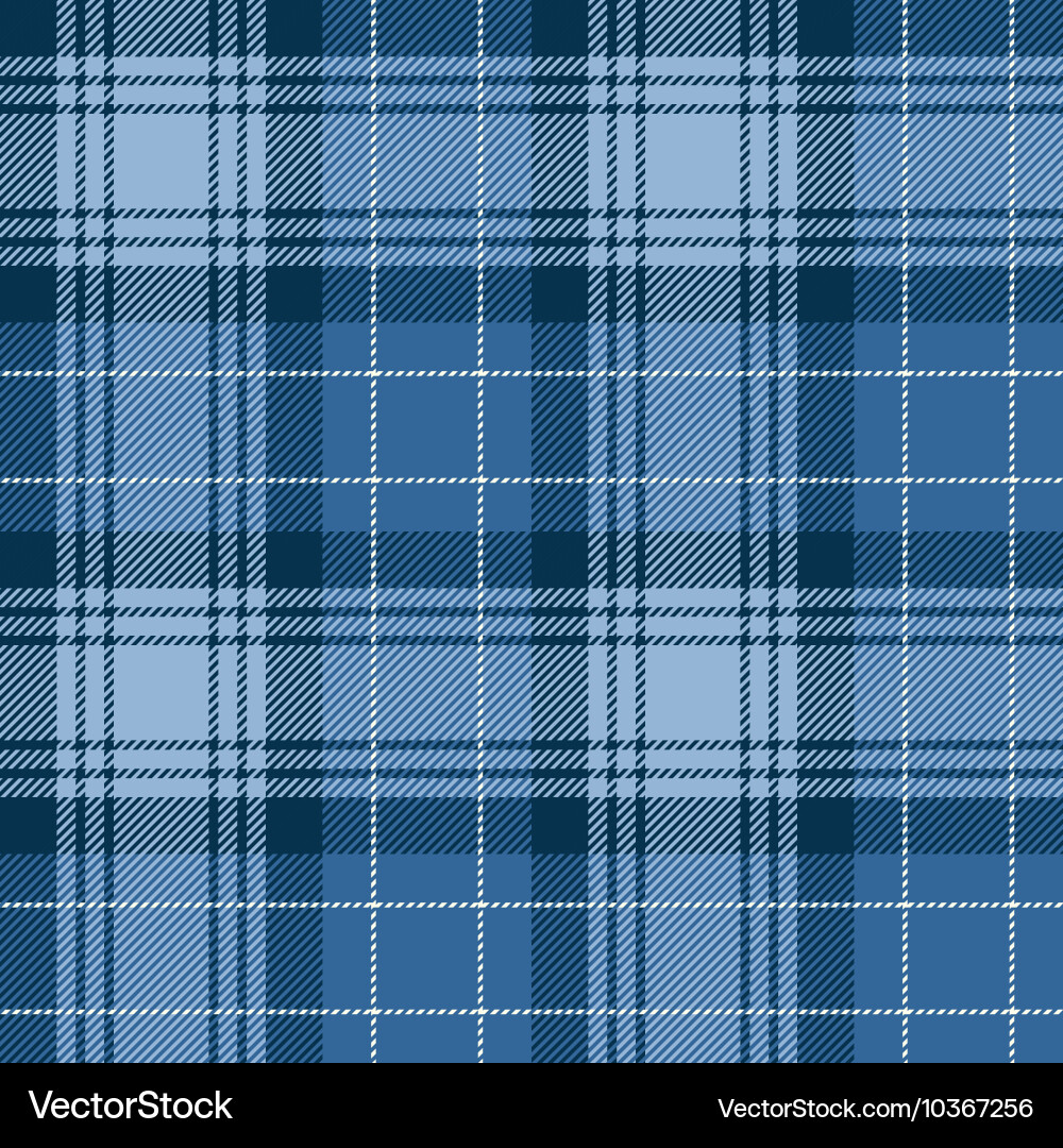 Tartan Plaid Pattern vector image