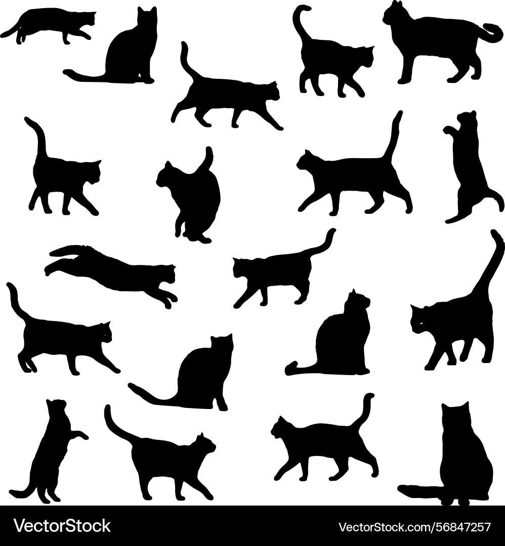 Cat silhouettes collection of black feline poses Cat silhouettes collection of black feline poses Vector Image