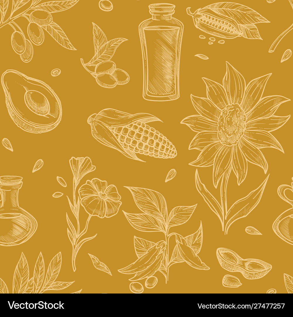 Plants or grains oil ingredients corn vector image