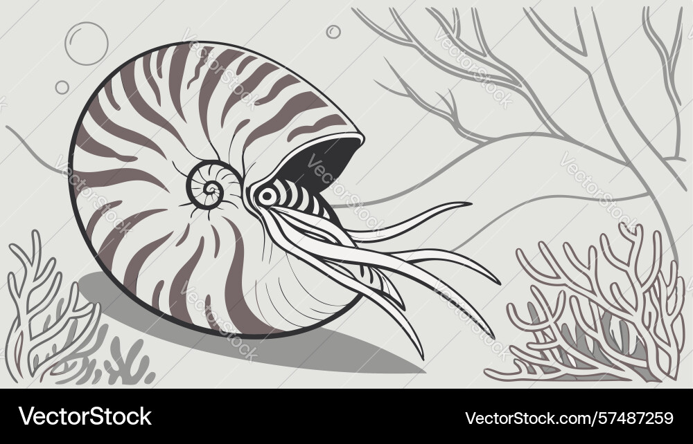 Nautilus shell with tentacles in an underwater Vector Image