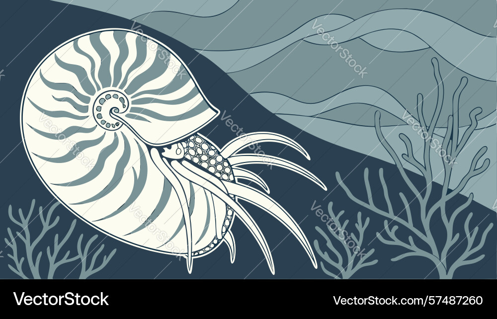 Nautilus shell and trees in a moonlit barren vector image