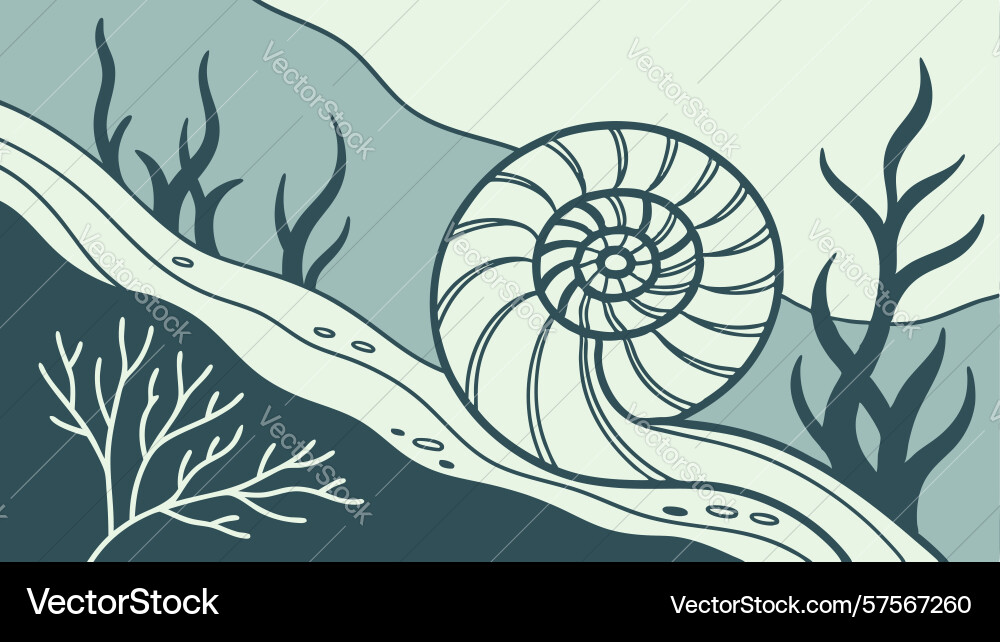 Nautilus shell by winding river path design Vector Image