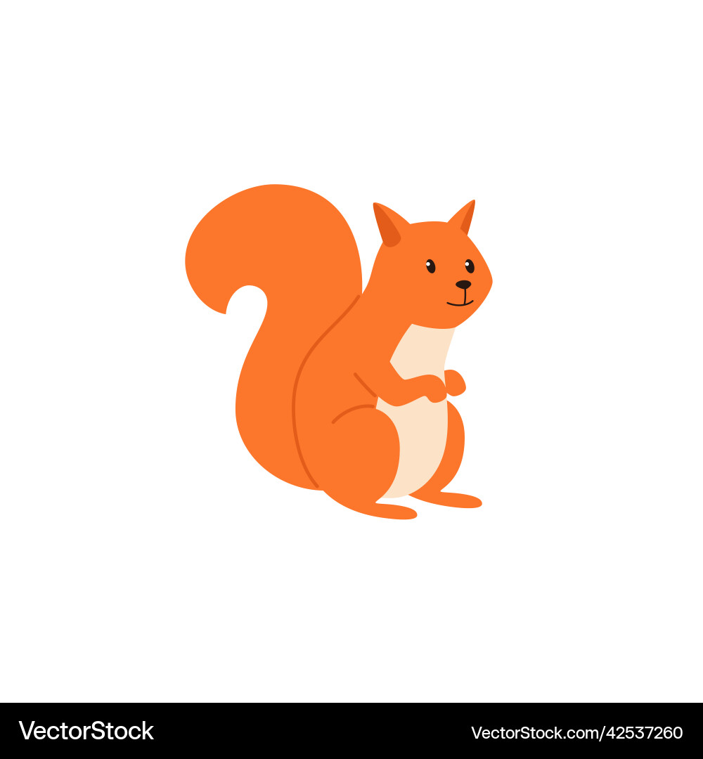 Red Squirrel Character vector image